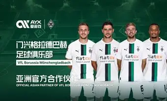 爱游戏(AYX)中国官方网站_AYX SPORTS