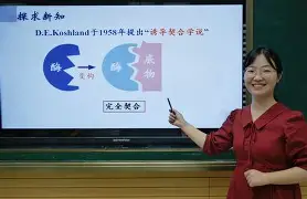 赛前体能课后,埃因霍温完成体检备战国王杯,气氛紧张,临场指挥获称赞(埃因霍温最新比赛消息) 赛前体能课后,埃因霍温完成体检备战国王杯,气氛紧张,临场指挥获称赞(埃因霍温最新比赛消息)