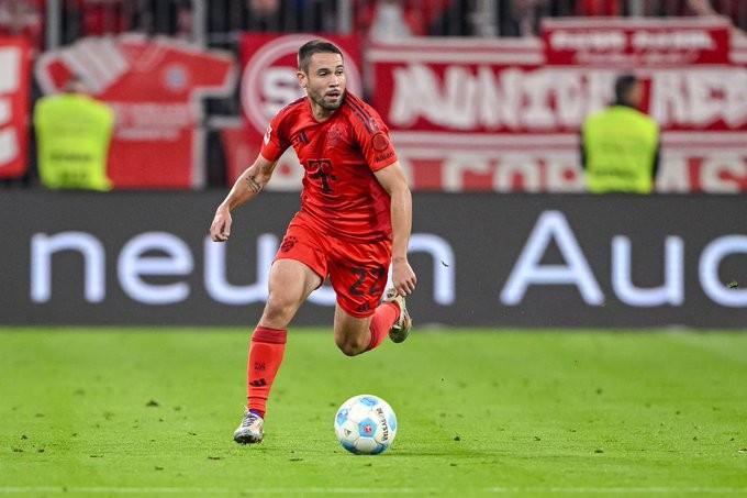 大棚早熟葡萄品种